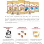 Royal-Canin